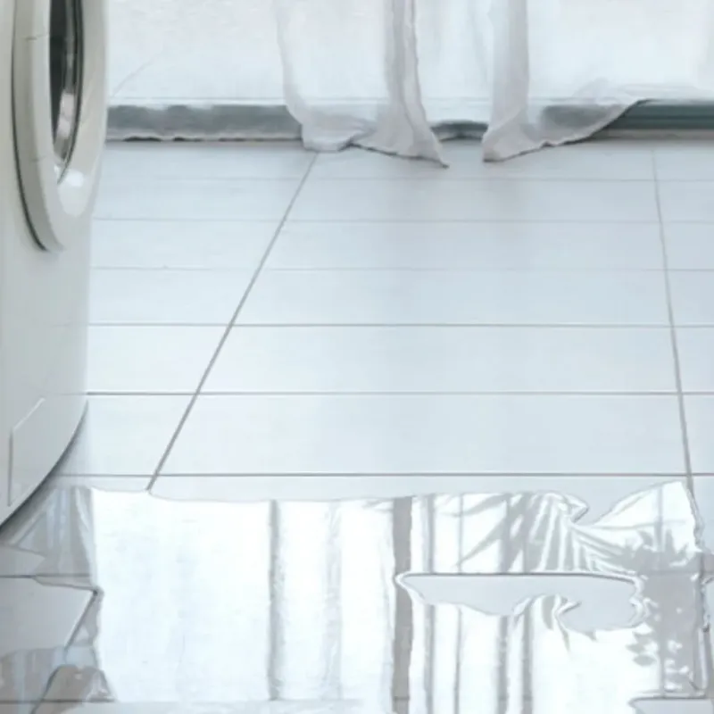 Appliance Leak Cleanup in Irwin, SC
